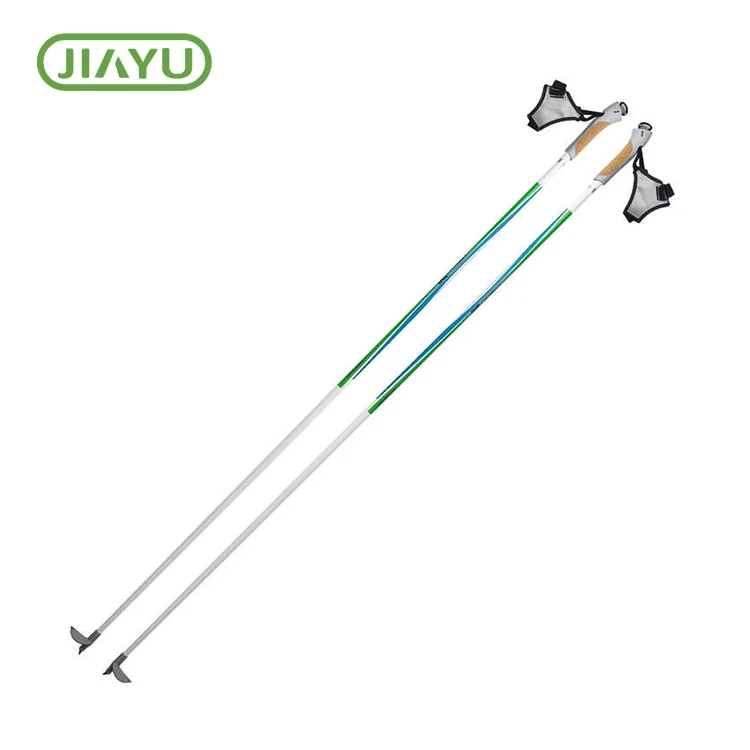 Ski Poles Snow Mountain